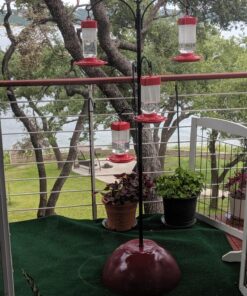 Sorbus Bird Feeding Station - 7ft Tall Metal Pole Bird Feeder Stand with 2 Ground Stake Prongs & 4 Hangers with Bird Bath, Bird Food Mesh Tray for Attracting Wild Birds Outside, Garden Decor, Plants 2-Prong Stake 30 81kmKVNDCzL