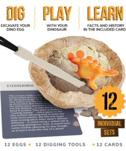 Dig a Dozen Dino Egg Dig Kit for Kids - Dinosaur Toys Gift 3-12 Year Old - 12 Eggs & Surprise Dinosaurs - Science STEM Activities - Educational Boy Toy Party Gifts for Boys & Girls Ages 3-5 4-7 5-7+ 39 81knqqUWtzL