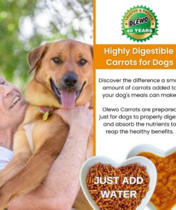 Olewo Original Carrots for Dogs – Fiber for Dogs Keep Poop Firm, Digestive Dog Food Topper, Skin & Coat Support, Dehydrated Whole Food Dog Multivitamin, Gut Health for Dogs, 2.2 lbs 2.2 Pounds 25 81kqHZ5s7dL