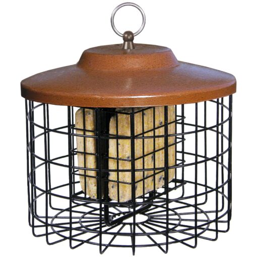 More Birds Squirrel-X Double Suet Feeder, Outdoor Wild Bird Feeder, Cage Bird Feeder, 2 Suet Cake Capacity