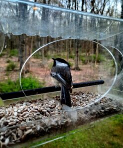 Large Clear Window Bird Feeder - Extended House with Strong Suction Cups - Steel Perch Sliding Feed Seed Tray - See Through Transparent Big Birdhouse - Wild Finch, Cardinal, Blue Jay - Cool Cat Gift 86 81kr0BYAlwL