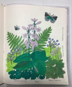 Nightfall Coloring Book: Originally Published in Sweden as "Skymningstimman" 32 81ksVb4KxaL