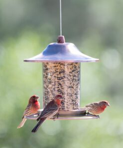 Alternative view of Perky-Pet 517282 Copper Panorama Bird Feeder 312C, 1 Tier