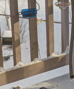 More Birds Dish SeedFeed, 1 Count (Pack of 1) 1 Count (Pack of 1) 47 81kuFmFiUFL