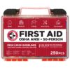 Be Smart Get Prepared First Aid Kit, 250 Piece. Exceeds OSHA ANSI Standards for Office, Home, Car, School, Emergency, Survival, Camping, Hunting, & Sports. FSA HSA 56 81kvoW57LsL