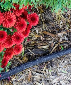 Gilmour 870751-1001 Hose Flat Soaker, 75' 15 81kwYg9nlL