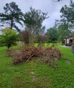 Fiskars 32" PowerGear2 Steel Blade Garden Bypass Lopper and Tree Trimmer - Sharp Precision-Ground Steel Blade Tree Cutter Blade for Branches up to 2" Diameter 32 in 35 81kxgaVLMRL