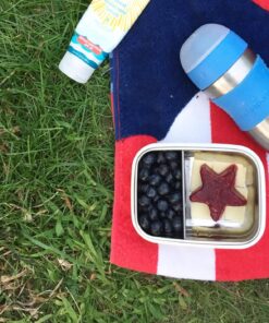 Innobaby Keepin' Fresh Stainless Steel Divided Bento Snack Box with Lid for Kids and Toddlers BPA Free, 11 oz., Blue 24 81kyUAkNf5L