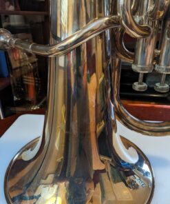 MusicNomad Silver Polish for Silver & Silver-Plated Instruments, 4 oz (MN701) 65 81kz3rXtsYL