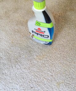 BISSELL Oxy Stain Destroyer Pet Plus Pretreat, 1773, 22 oz 38 81l4Cyxi8vL