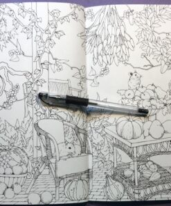 Mori ga kanaderu rhapsody. Rhapsody in the forest.(Coloring Book Japan Edition) 49 81l8CrpoI L