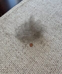 FURemover Original Indoor Pet Hair Rubber Broom and Pet Hair Remover Lint Brush Set, Colors May Vary FURemover Broom and Brush Combo 51 81l9AnJsLrL