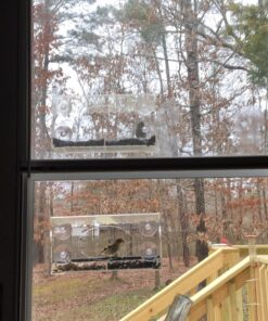 Large Clear Window Bird Feeder - Extended House with Strong Suction Cups - Steel Perch Sliding Feed Seed Tray - See Through Transparent Big Birdhouse - Wild Finch, Cardinal, Blue Jay - Cool Cat Gift 89 81lB7xPxo7L