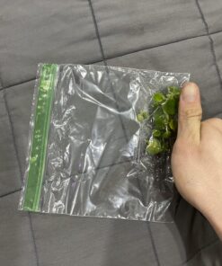 12 Amazon Frogbit (Limnobium Laevigatum), Live Aquarium/Aquatic Floating Plant by G&Z 39 81lDehEQsCL