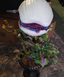 FolkArt PROMO830 Multi Satin Finish Acrylic Craft Paint Set Designed for Beginners and Artists, Non-Toxic Formula That Works on All Surfaces, 2 oz, 2 Fl Oz (Pack of 12), 12 Colors May Vary, 24 54 81lF27iJraL