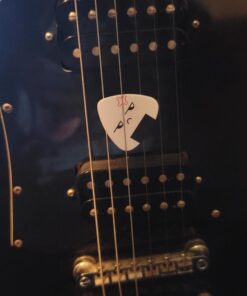 Dulphee Guitar Picks, Ukulele Picks White Sushi Rice Balls Pattern Guitar Picks Classical Triangle 0.96mm Heavy Guitar Plectrums 12 Pack for Bass, Acoustic & Electric Guitars White Rice Ball 12 pack 39 81lHZUPtRmL