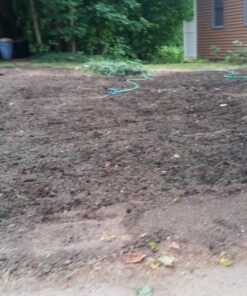 Scotts Turf Builder Starter Fertilizer for New Grass, Use When Planting Seed, 5,000 sq. ft., 15 lbs. Standard 5,000 sq. ft. 40 81lJeLPJ BL