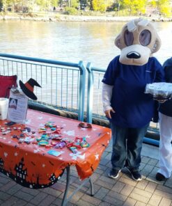 Beistle Haunted House Tablecover, 54” x 108” – Plastic Table Cloth, Rectangular Tablecloth, Halloween Tablecloth, Holiday Tablecloth, Halloween Plastic Tablecloth, Halloween Decorations 1 17 81lMS9LVDL