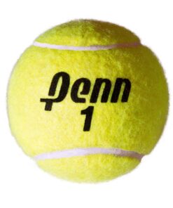 Penn Championship Tennis Balls - Extra Duty Felt Pressurized - 4 Cans, 12 Balls 19 81lNwSaEkxL