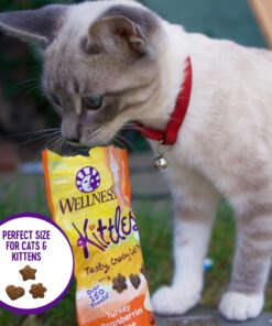 Wellness Kittles Crunchy Natural Grain Free Cat Treats, Salmon & Cranberry, 2-Ounce Bag 2 Ounce (Pack of 1) 26 81lPxo0UZL