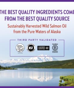 New Chapter Wholemega Fish Oil Supplement - Wild Alaskan Salmon Oil with Omega-3 + Vitamin D3 + Astaxanthin + Sustainably Caught - 60 ct, 1000mg Softgels Unflavored 60 Count (Pack of 1) 15 81lRTLeL6kL