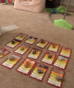 ROCK ON! Geology Game with Rock & Mineral Collection – Collect and Learn with STEM-based Educational Science Kit in Carrying Tote - Amethyst, Rhodonite, Selenite Crystal, Unakite and lots more 35 81lU3 Yn15L