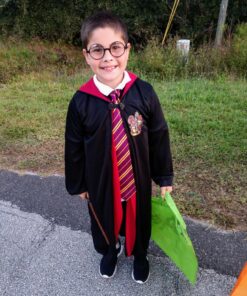 Rubie's Costume Co Harry Potter Gryffindor Tie 25 81lVC4qgqTL