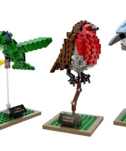 LEGO Ideas 21301 Birds Model Kit 26 81laPcMPfPL