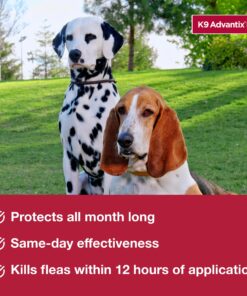 K9 Advantix II XL Dog Vet-Recommended Flea, Tick & Mosquito Treatment & Prevention | Dogs Over 55 lbs. | 4-Mo Supply 4 Pack XL Dog only 22 81lc7ZPFGHL 3
