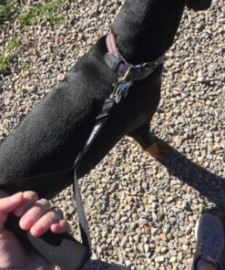 Leashboss Short Dog Leash for Dog Training | Padded Traffic Handle Short Leash for Dog Training, Total Comfort when Dog Walking | Traffic Leash for Dogs Large, Medium, Small | Short Nylon Dog Lead 12 Inch Black 52 81ldKq1kkgL