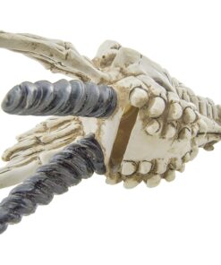 Snarling Magical Dragon Skull Treasure Trinket Box 31 81ldiPyIthL