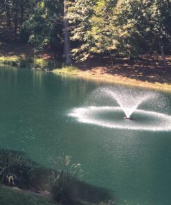 Airmax Pond Dye 4X Concentrate for Outdoor Ponds & Lakes, Natural Pond Colorant & Water Beauty Enhancer, Block Ultraviolet Rays, Fish, Bird & Livestock Safe, Easy Liquid Application, 1 Quart Twilight Blue - 1 Quart 27 81le55xV0ML