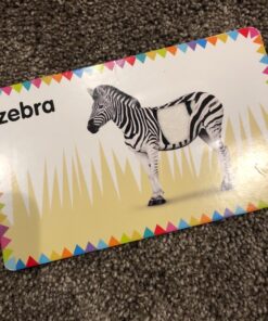 My First Touch and Feel Picture Cards: Animals (My First Board Books) 44 81leQihl4dL