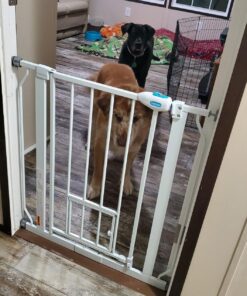 Carlson Extra Wide Walk Through Pet Gate with Small Pet Door, Includes 4-Inch Extension Kit, Pressure Mount Kit and Wall Mount Kit,White 48 81lfG5Y61gL