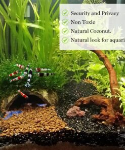 SunGrow Coconut Aquarium Shrimp Cave, Small Fish Tank Aquarium Decorations Accessories, Comfortable Shelter and Breeding Area for Crustaceans, Fish Hideout Aquarium Décor for Spawning 17 81lgB0Yyv1L