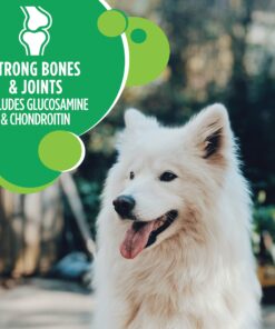 IAMS Adult High Protein Large Breed Dry Dog Food with Real Chicken, 30 lb. Bag 30 Pound (Pack of 1) 24 81lkNXBBh8L