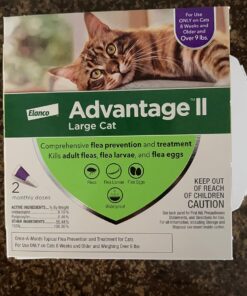 Advantage II Large Cat Vet-Recommended Flea Treatment & Prevention | Cats Over 9 lbs. | 2-Month Supply 2 Pack Large Cat only 30 81llT6DEZzL 5