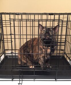 MidWest Homes for Pets Newly Enhanced Double Door iCrate Dog Crate, Includes Leak-Proof Pan, Floor Protecting Feet, Divider Panel & New Patented Features X-Small 53 81lmFCipB L