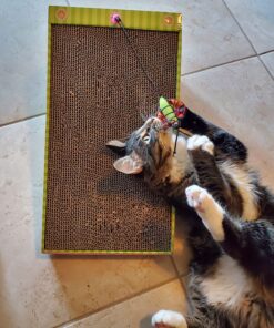 Petmate FAT CAT Big Mama's Scratch 'n Play Ramp Reversible Cardboard Toy 32 81lpeB2vNRL