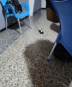 BESTEK Universal Travel Adapter 220V to 110V Voltage Converter with 6A 4-Port USB Charging and UK/AU/US/EU Worldwide Plug Adapter (Black) 02 black 29 81ls15xicHL