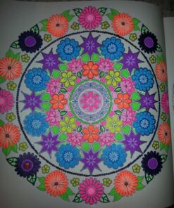 Secret Garden: An Inky Treasure Hunt and Coloring Book for Adults 74 81lu63UxapL