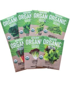 7 Varieties of Leafy Power Green Organic Seeds, Non-GMO Seeds for Planting, Heirloom Seeds - Spinach Seeds, Arugula, Kale, Lolla Rossa Lettuce Seeds, Buttercrunch, Gourmet Mix Lettuce, Swiss Chard 33 81lwMSMB1 L