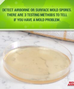 Mold Armor Do It Yourself Mold Test Kit 25 81m 7a2e2fL