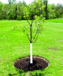 Dewitt 3-Inch by 50-Foot Tree Wrap White TW3W 16 81m2E2OIrWL