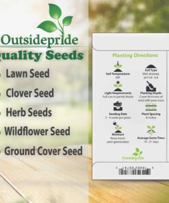 Outsidepride Viola Admiration Garden Flowers for Containers, Hanging Baskets, & Window Boxes - 1000 Seeds 11 81m4fwmqdoL