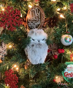 Kurt Adler 1 Set 2 Assorted Brown And White Owl Ornaments,white, grey 29 81m7ke7Q2vL