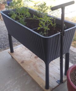 Keter Easy Grow 31.7 Gallon Raised Garden Bed with Self Watering Planter Box and Drainage Plug-Perfect for Growing Fresh Vegetables, Flowers and Herbs Graphite 47 81mFHB7i8L