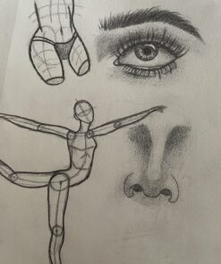 MozArt Mechanical Pencil Set with Case - 4 Sizes: 0.3, 0.5, 0.7 & 0.9mm with 30 HB Lead Refills Each & 4 Eraser Refills -Sketch, Drafting, Art, Drawing Supplies (Clear) Clear 78 81mKmXKu EL