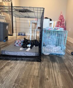 MidWest Homes for Pets Newly Enhanced Single Door iCrate Dog Crate, Includes Leak-Proof Pan, Floor Protecting Feet, Divider Panel & New Patented Features 42 81mMRIjQlQL 2