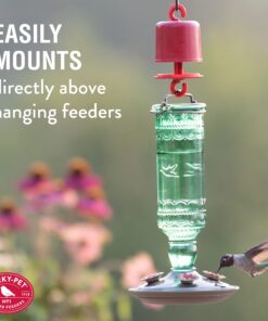 Perky-Pet 245L Ant Guard for Hummingbird & Oriole Feeders - Protects Nectar From Ants, Red, Pack of 1 20 81mRqz53CZL 4